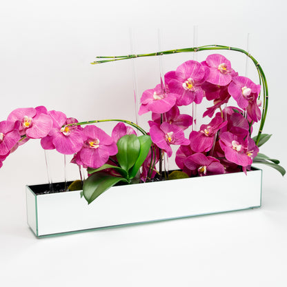 Pink Orchid Arrangement