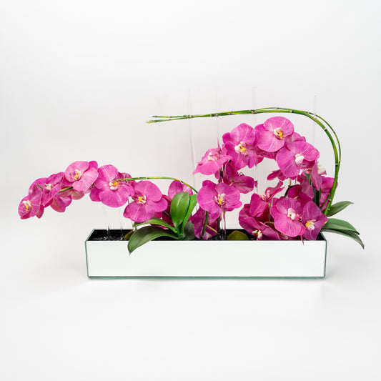 Pink Orchid Arrangement