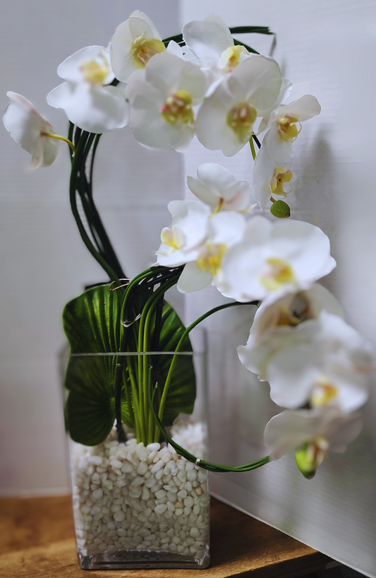 Orchid Arrangement